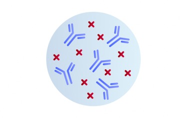 Labeled antibodies research products